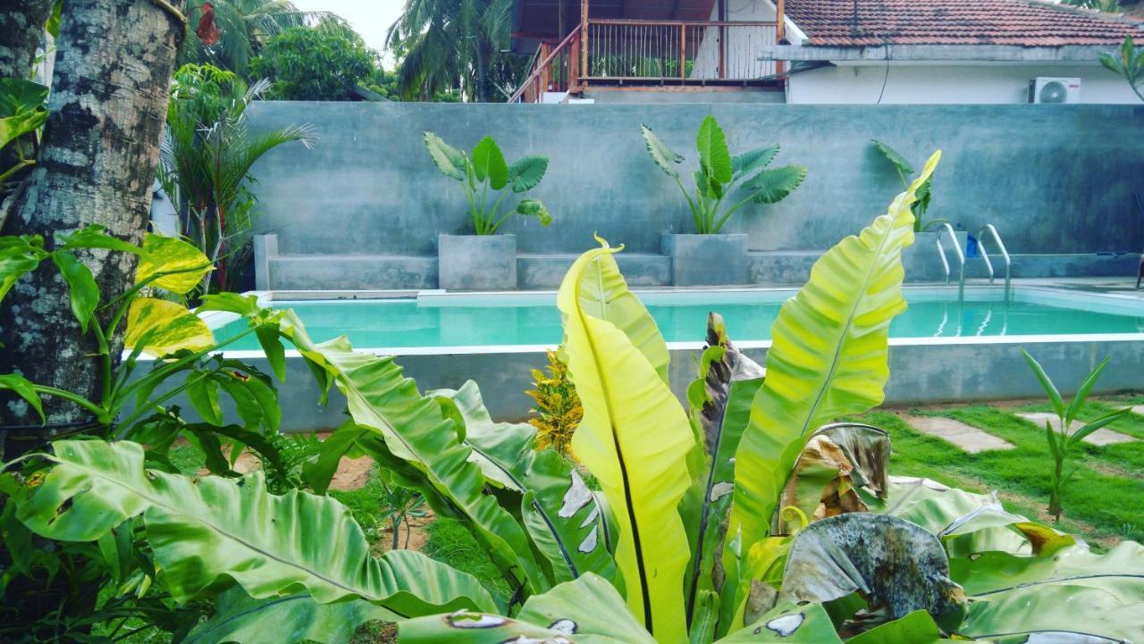 Surf Gangs Arugambay Hotel Vịnh Arugam Ngoại thất bức ảnh