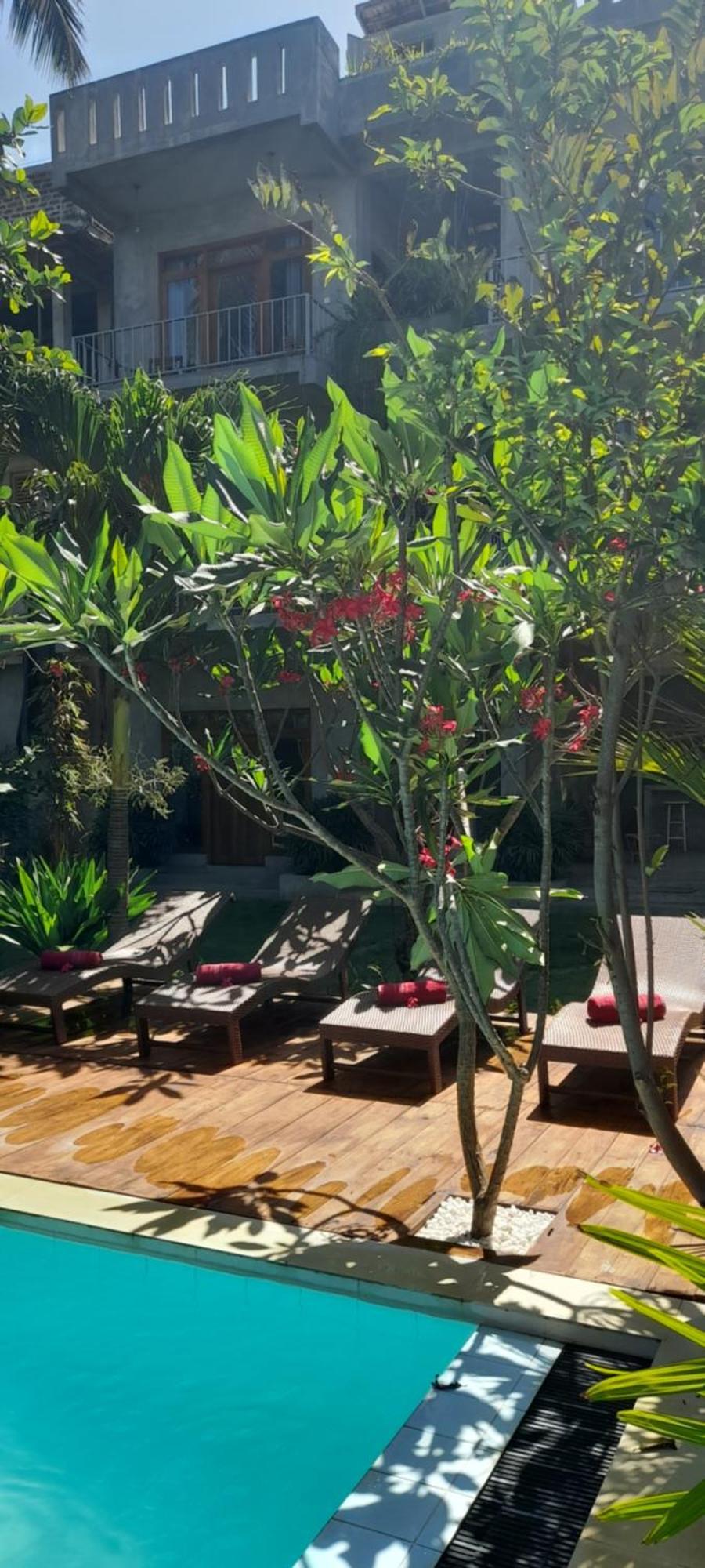 Surf Gangs Arugambay Hotel Vịnh Arugam Ngoại thất bức ảnh