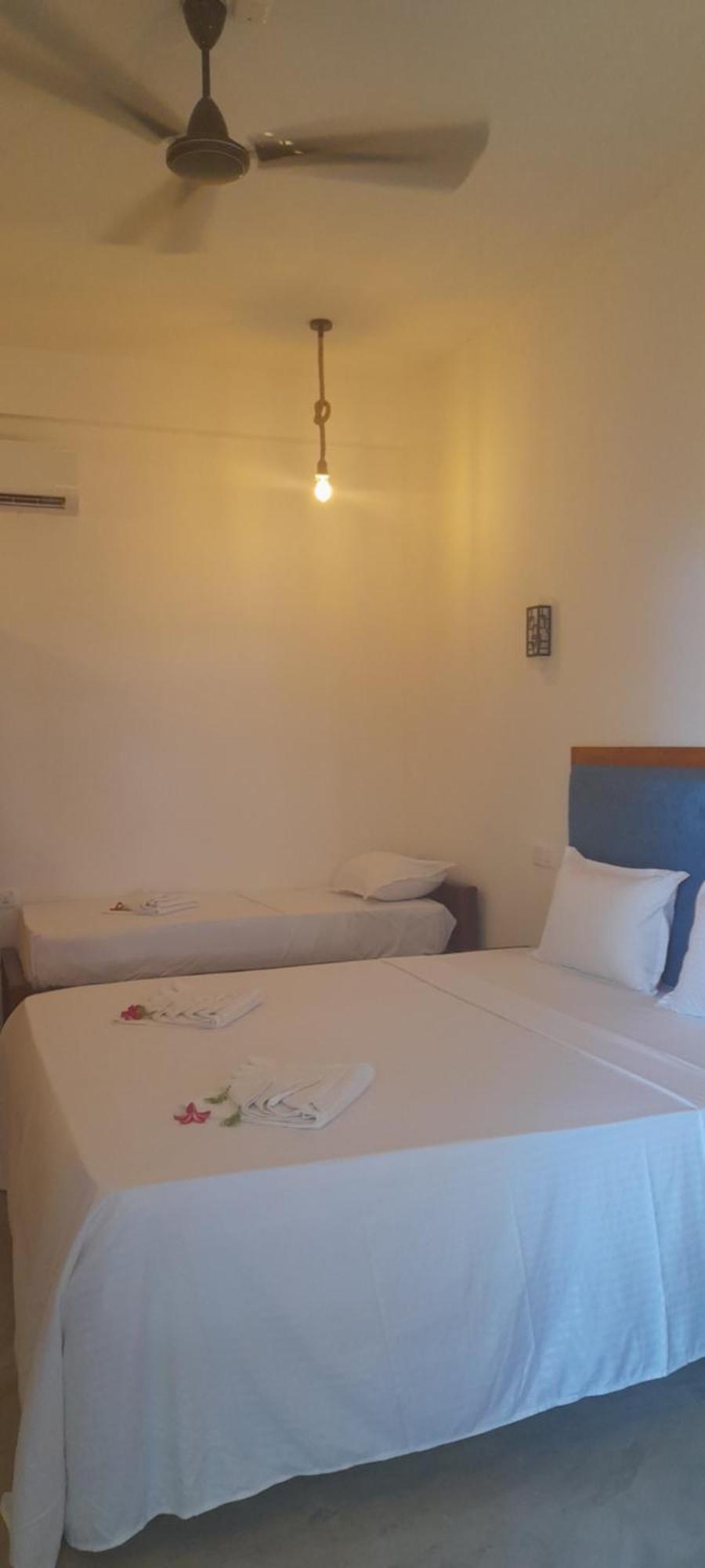 Surf Gangs Arugambay Hotel Vịnh Arugam Ngoại thất bức ảnh