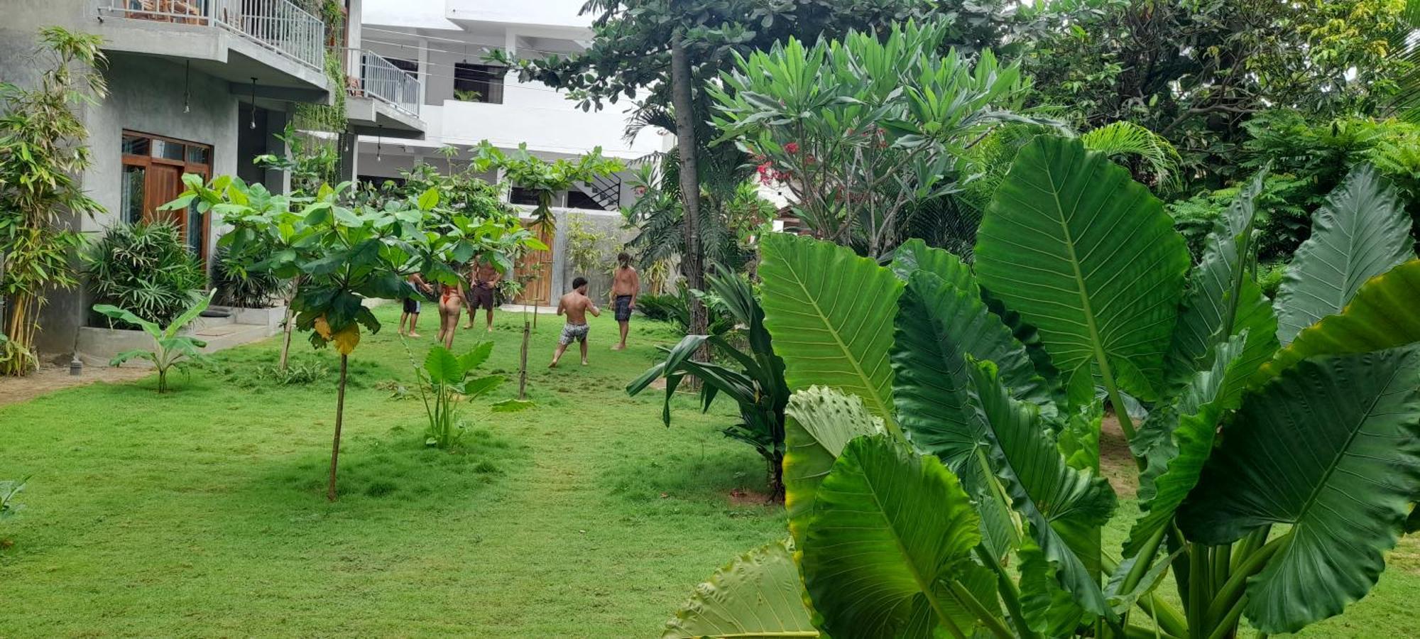 Surf Gangs Arugambay Hotel Vịnh Arugam Ngoại thất bức ảnh