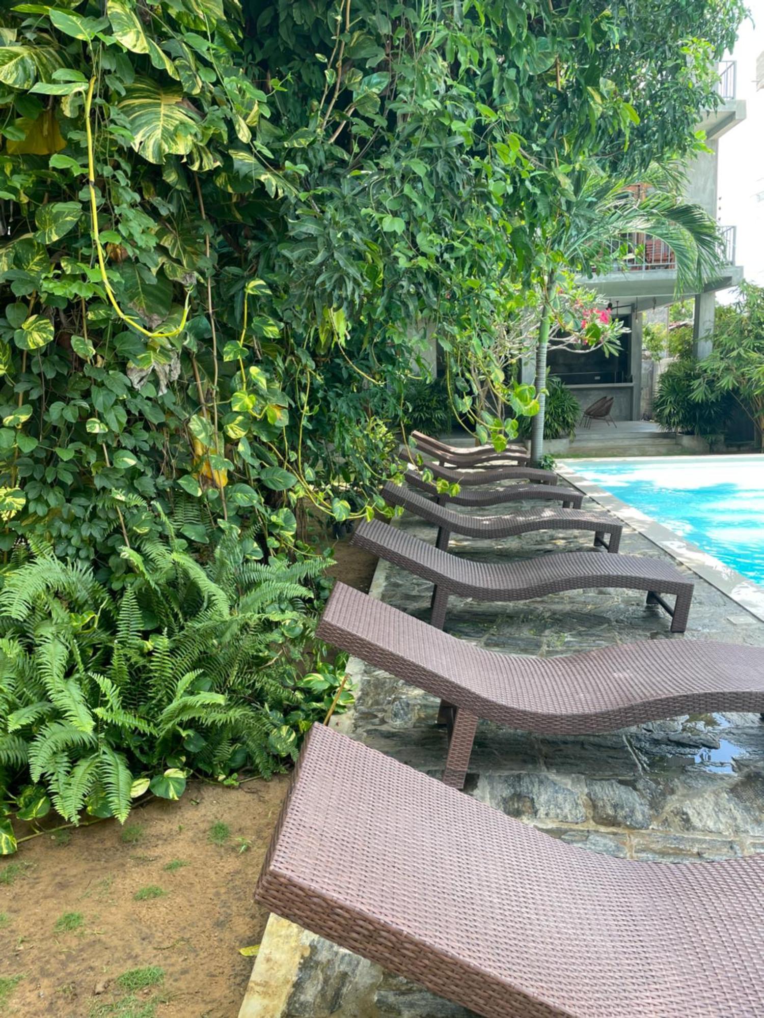 Surf Gangs Arugambay Hotel Vịnh Arugam Ngoại thất bức ảnh