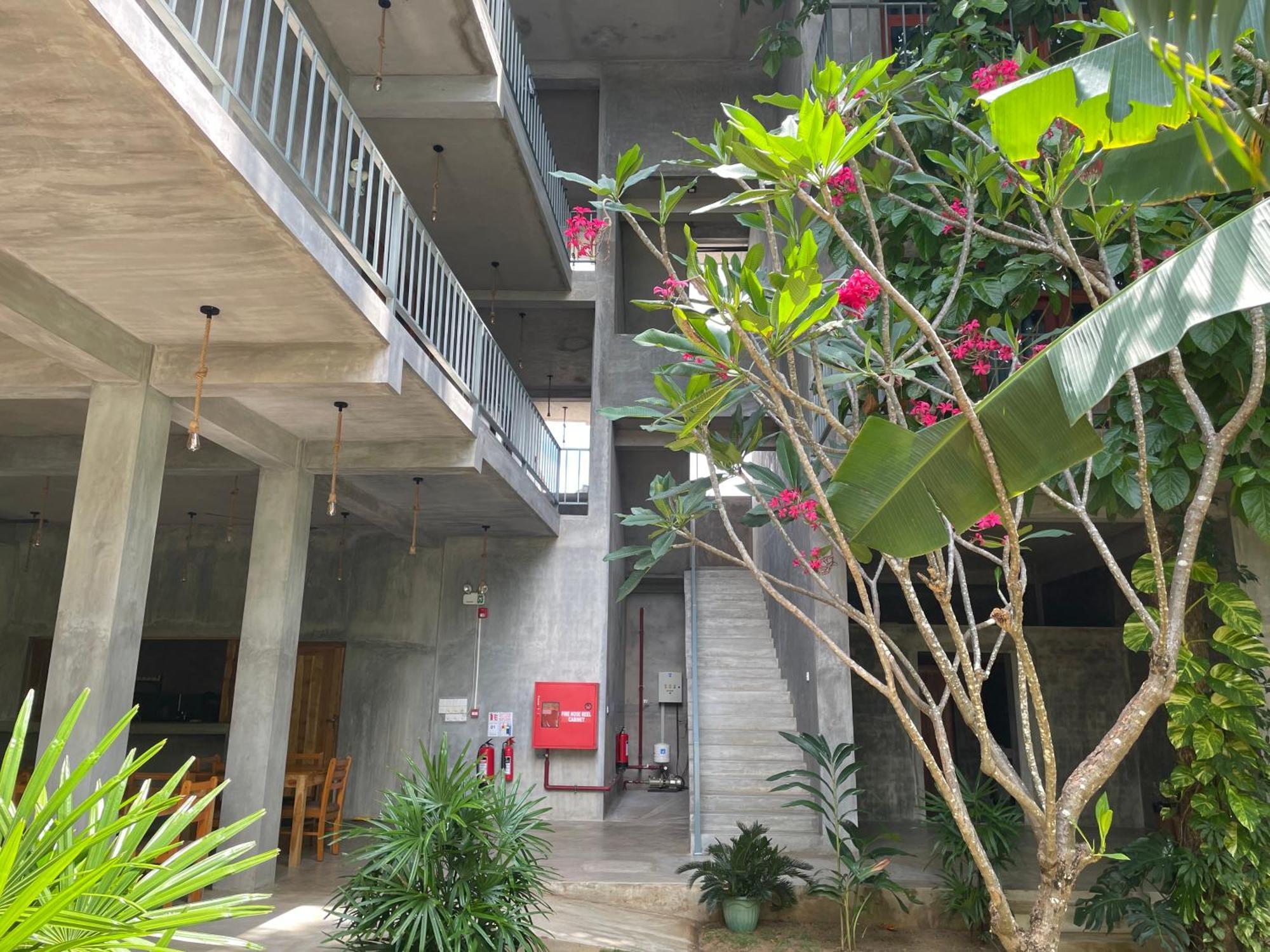 Surf Gangs Arugambay Hotel Vịnh Arugam Ngoại thất bức ảnh