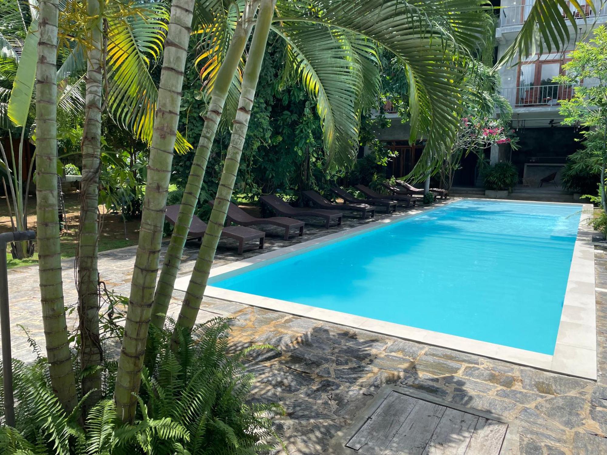 Surf Gangs Arugambay Hotel Vịnh Arugam Ngoại thất bức ảnh